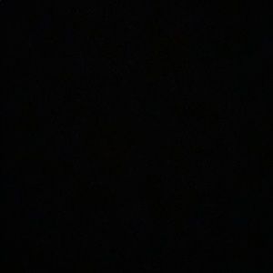 Meet your Posher, Allie